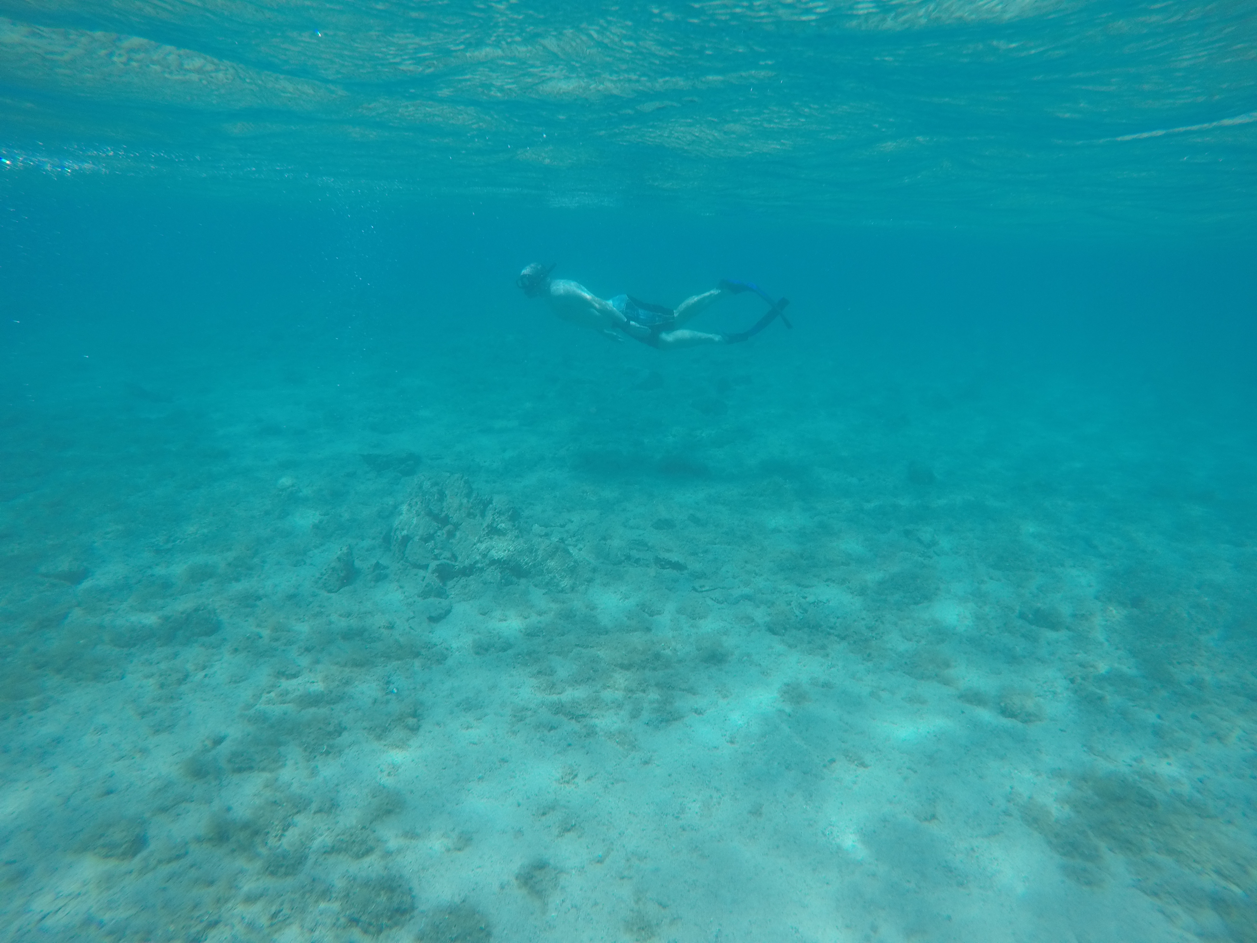 Honeymoon in Sardinia, Snorkeling in Sardegna