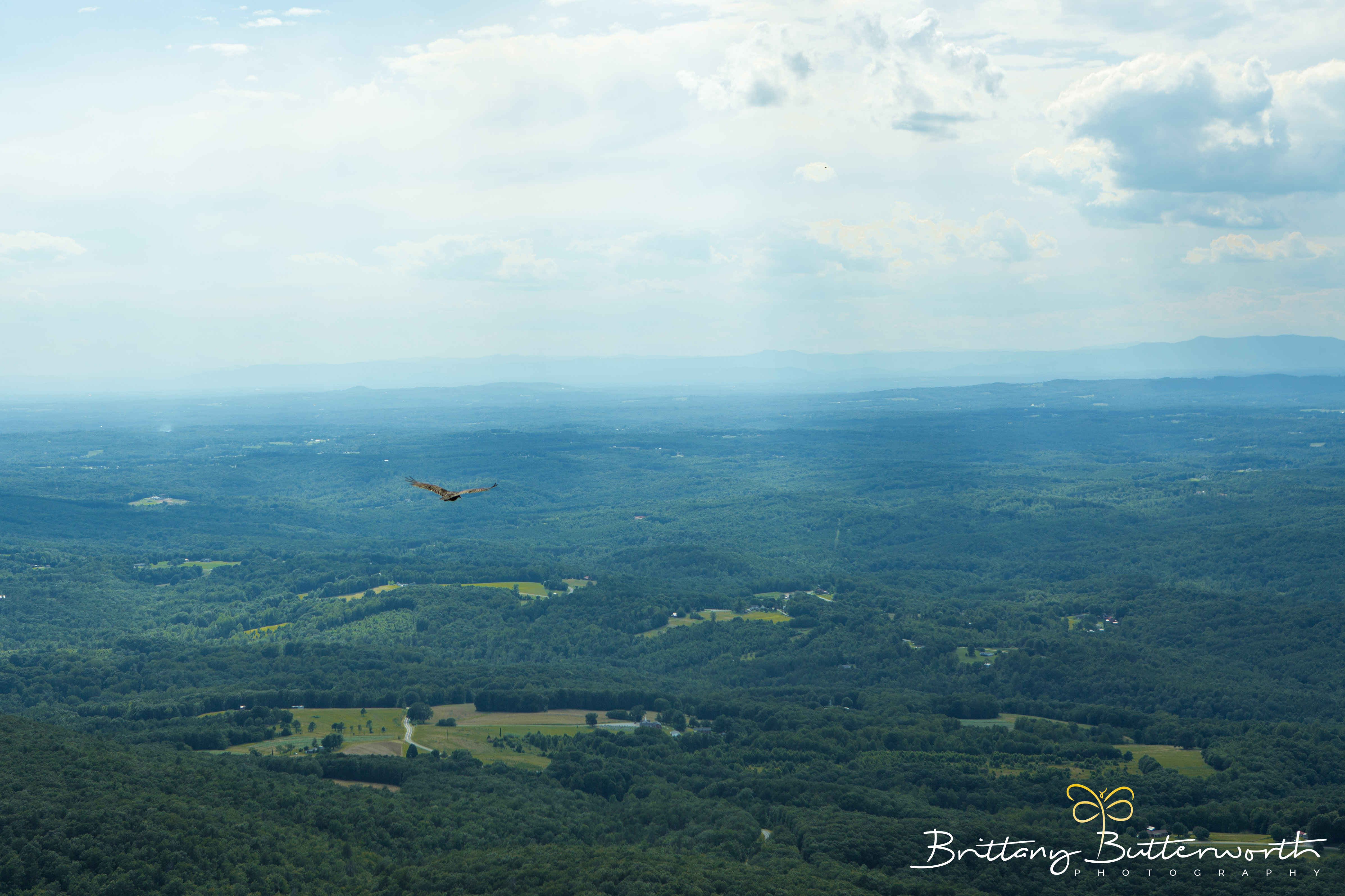 hawks hanging rock state park