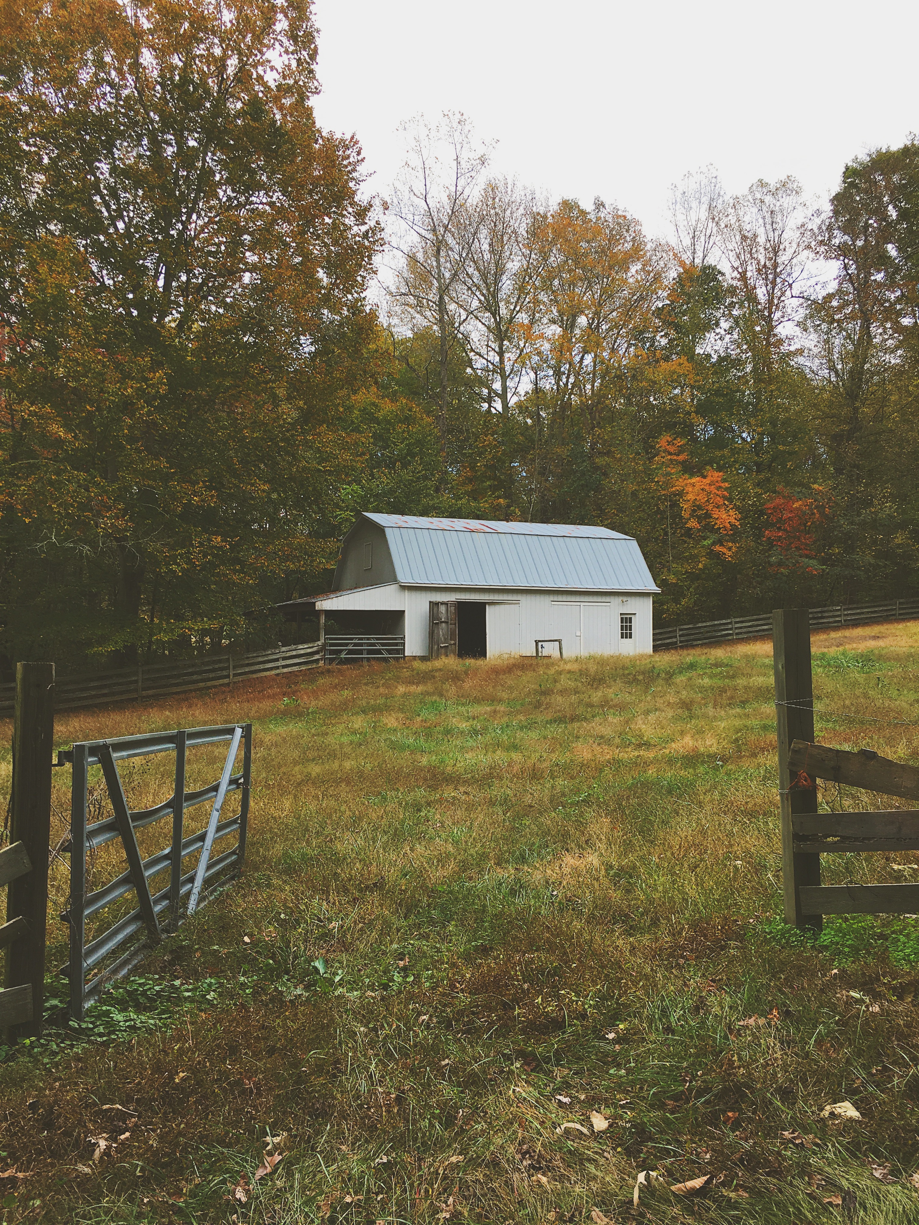 barn white north carolina