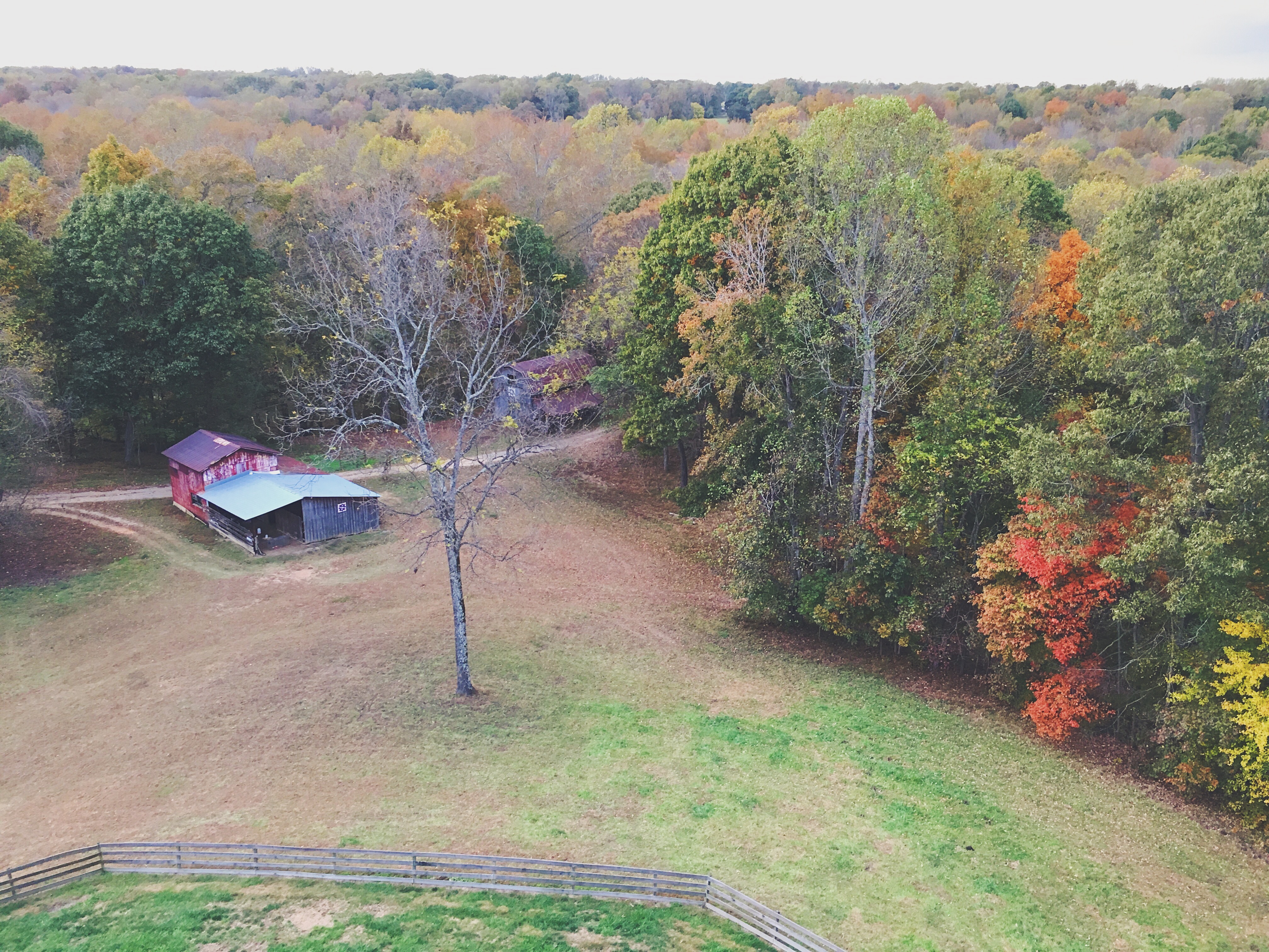 overlooking farm