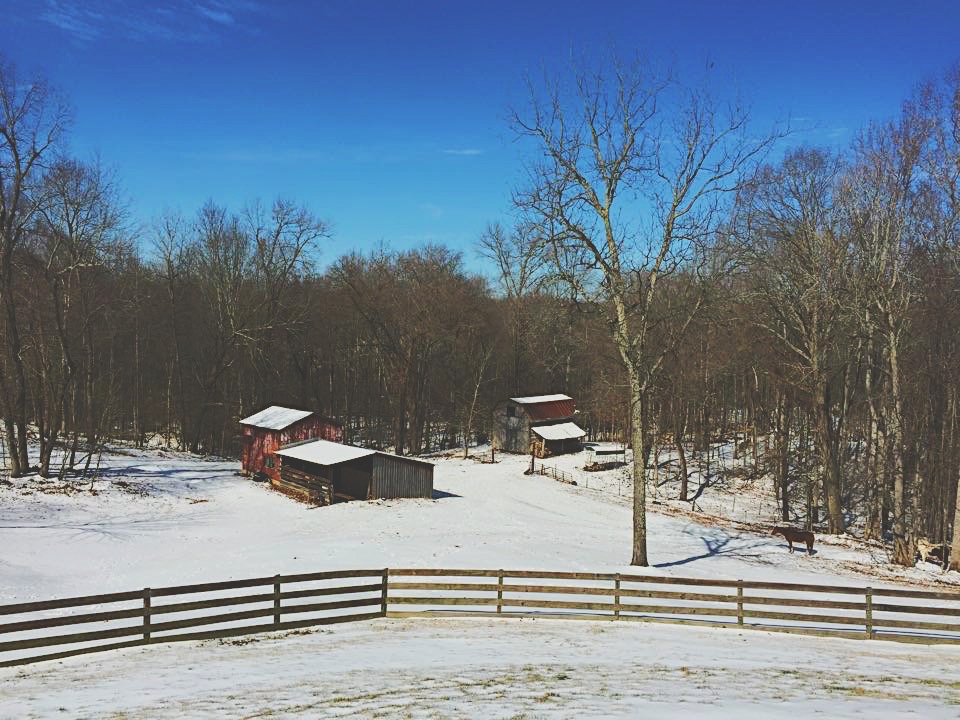 snow on family farm
