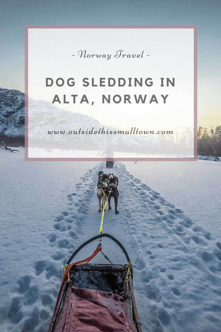 Dog Sledding in Norway with Trasti & Trine #dogsledding #norway