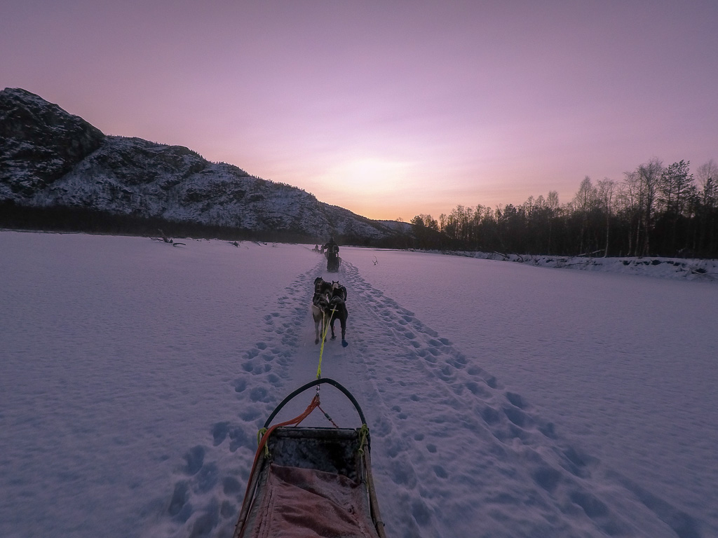 dog sledding norway trasti & trine