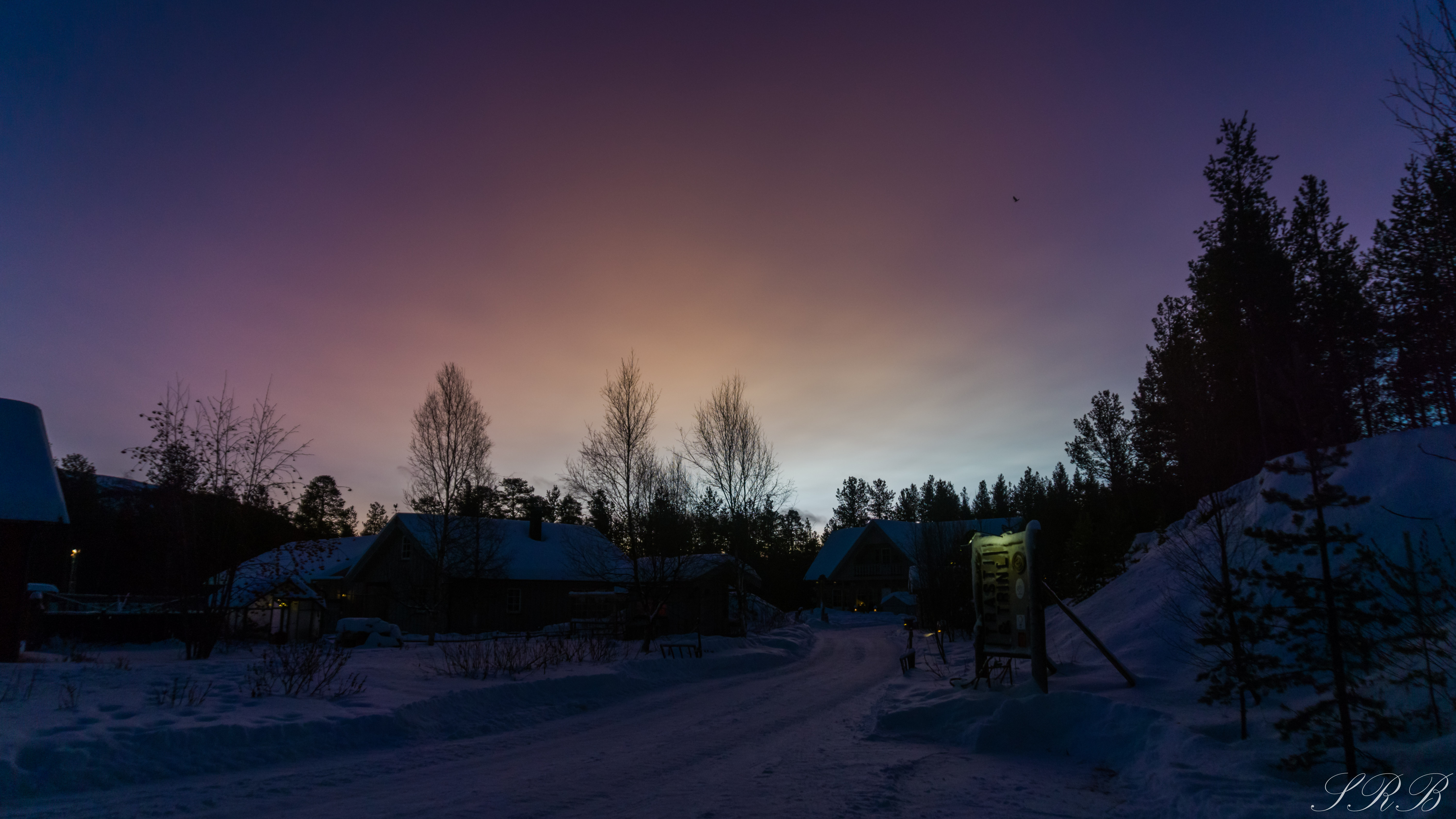 Trasti & Trine, dog sledding in Norway Outside This Small Town