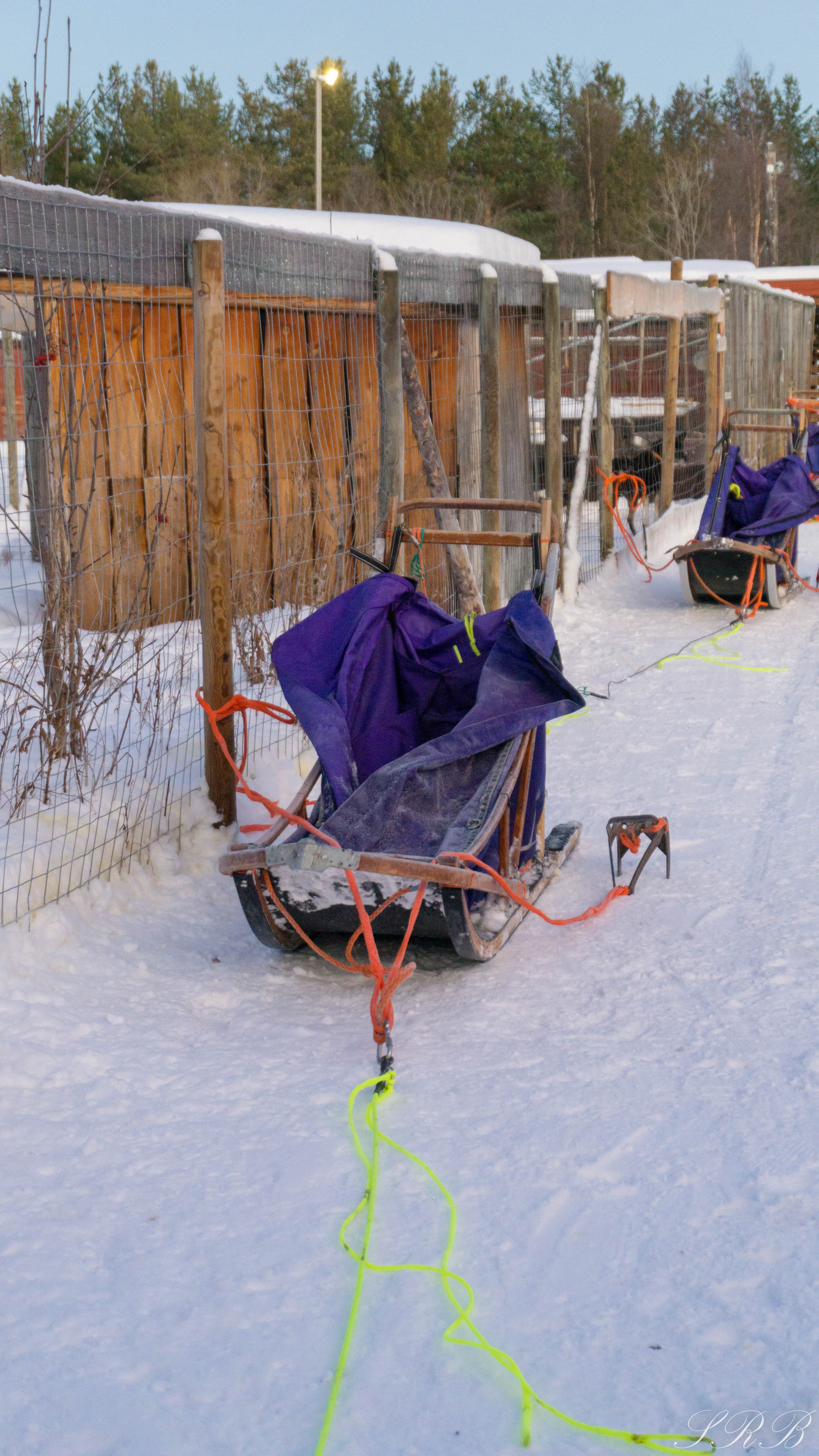 Trasti & Trine, dog sledding in Norway Outside This Small Town basket sled