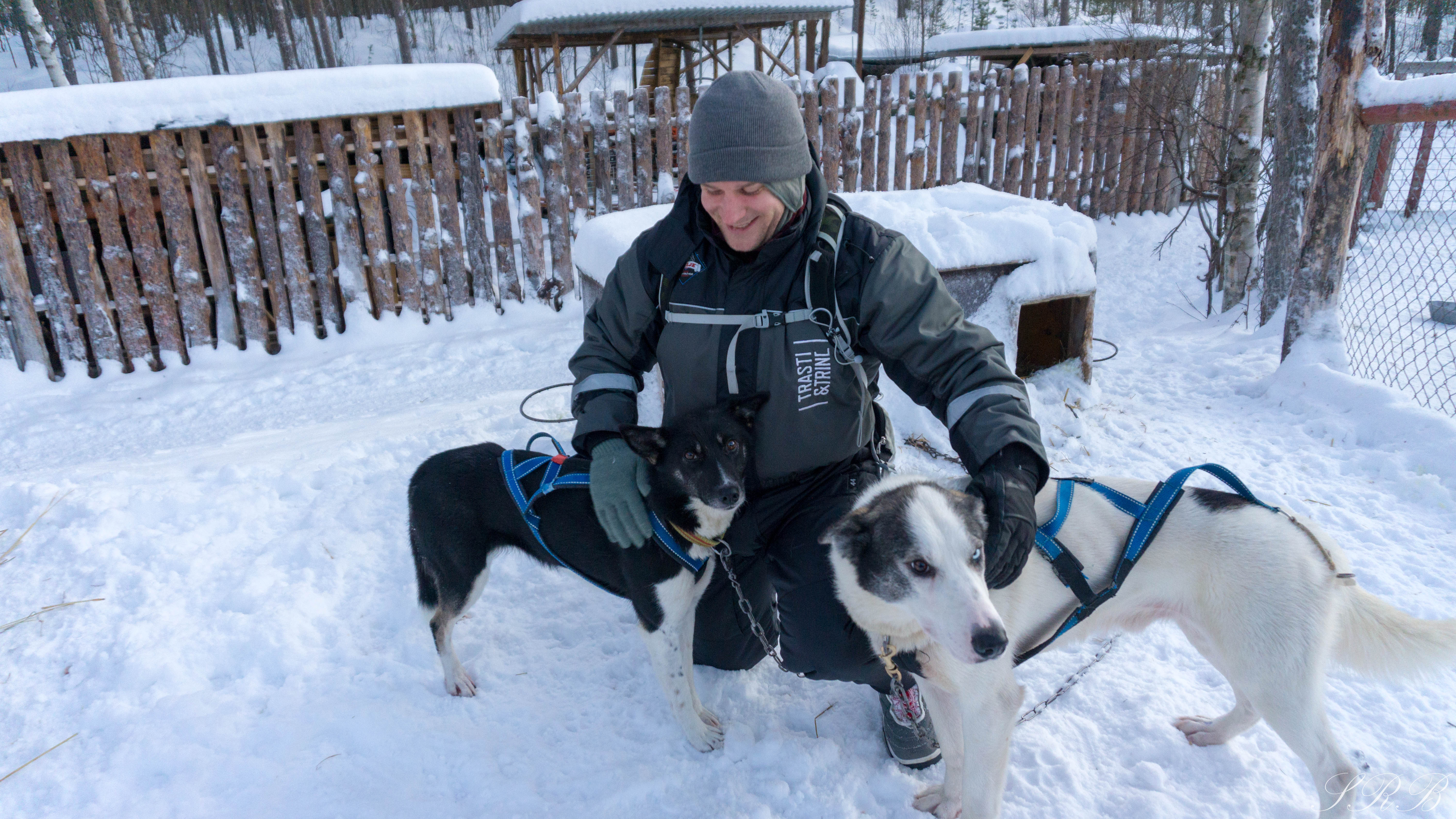 Trasti & Trine, dog sledding in Norway Outside This Small Town Alaskan Huskies