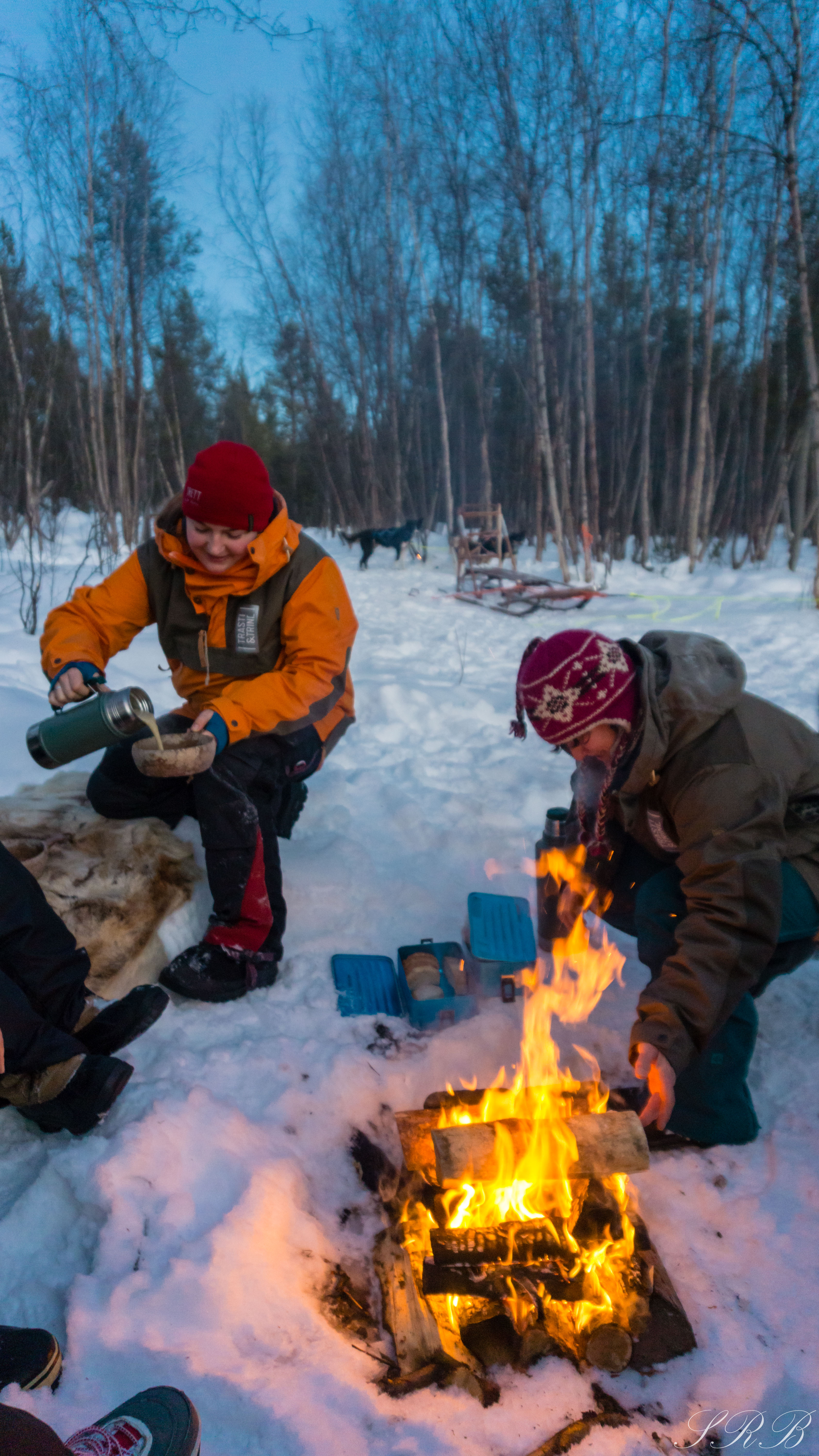 Trasti & Trine, dog sledding in Norway Outside This Small Town Alaskan Huskies