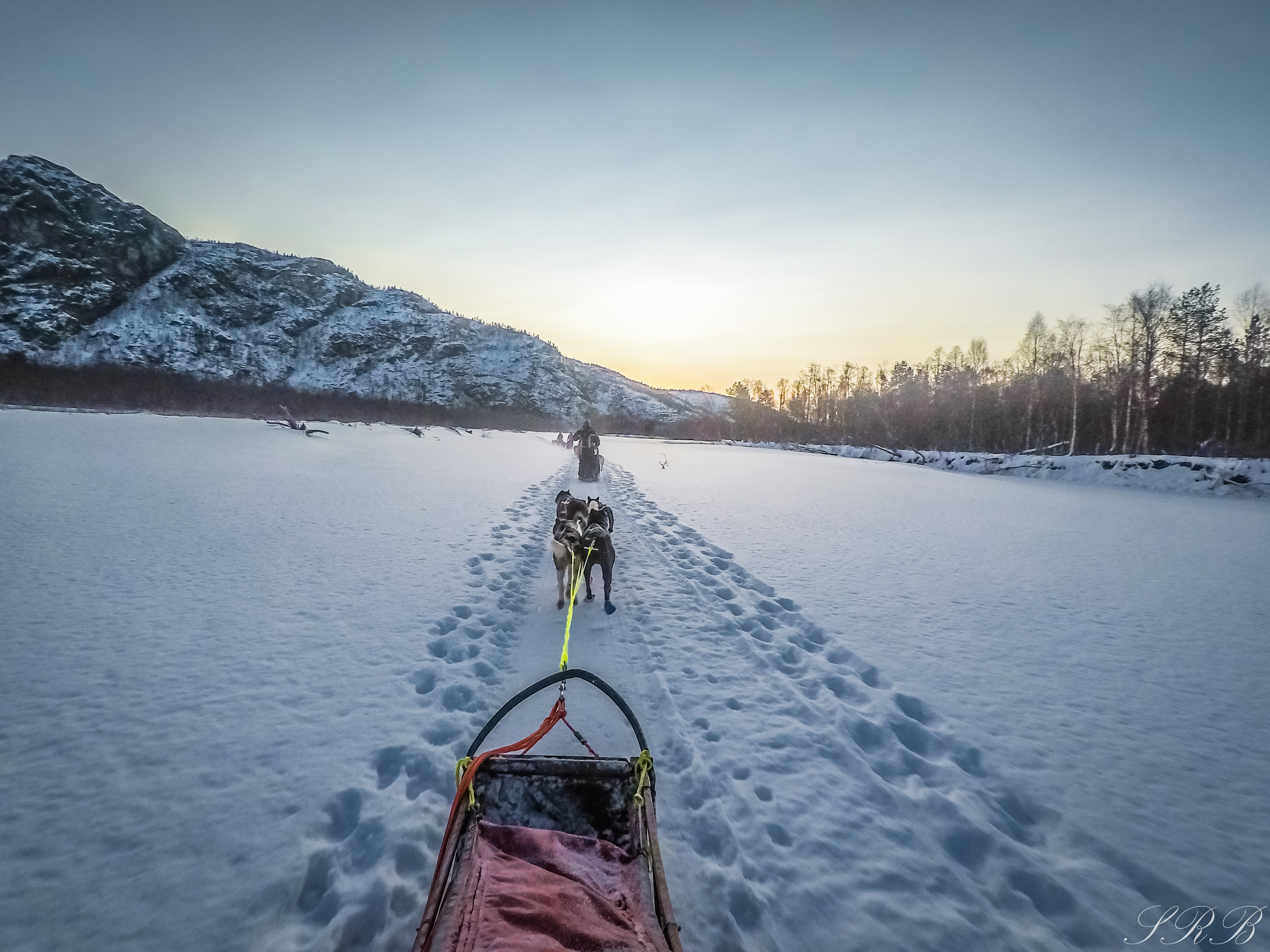 Dog Sledding Alta, Norway