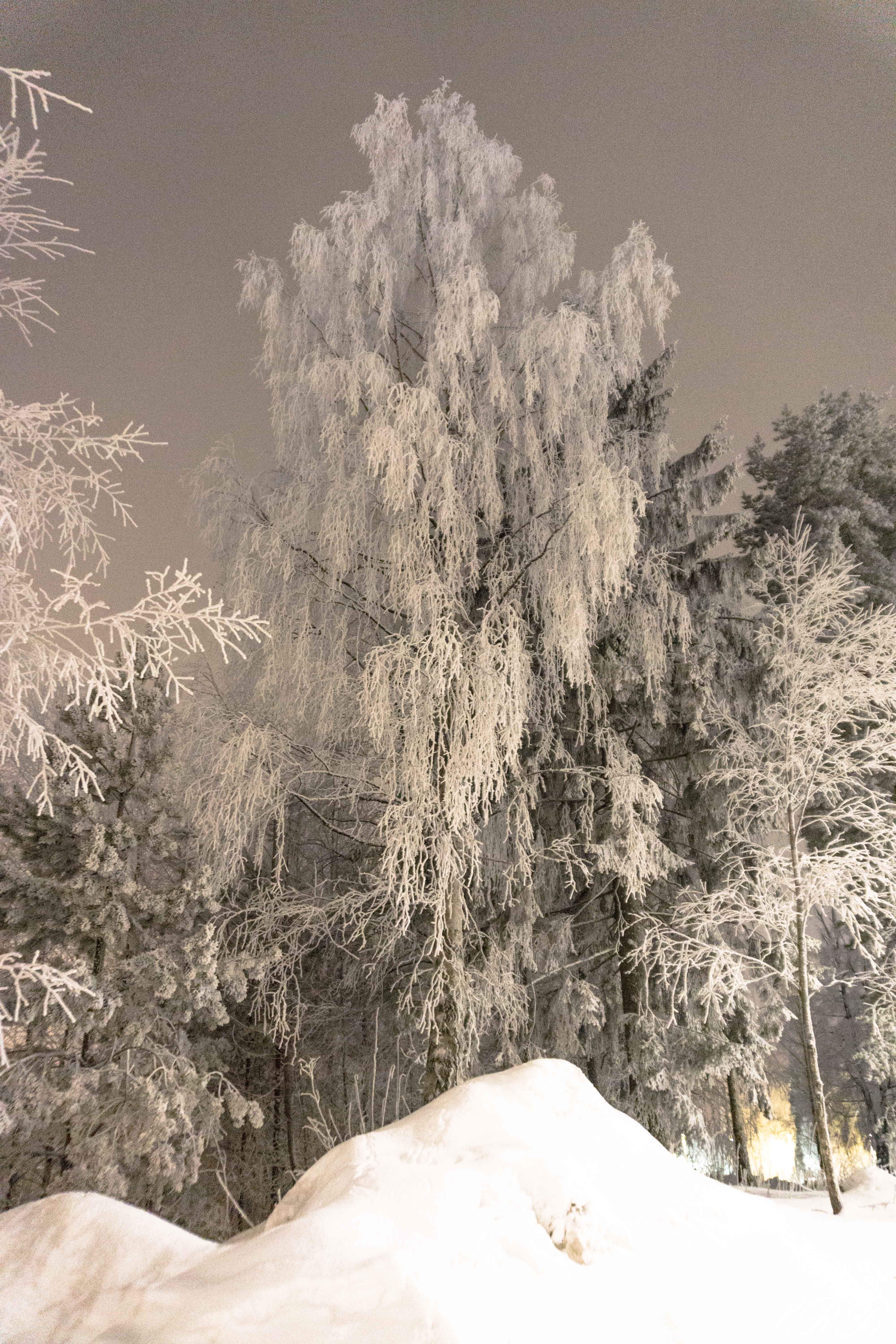 winter wonderland in Oslo, Norway