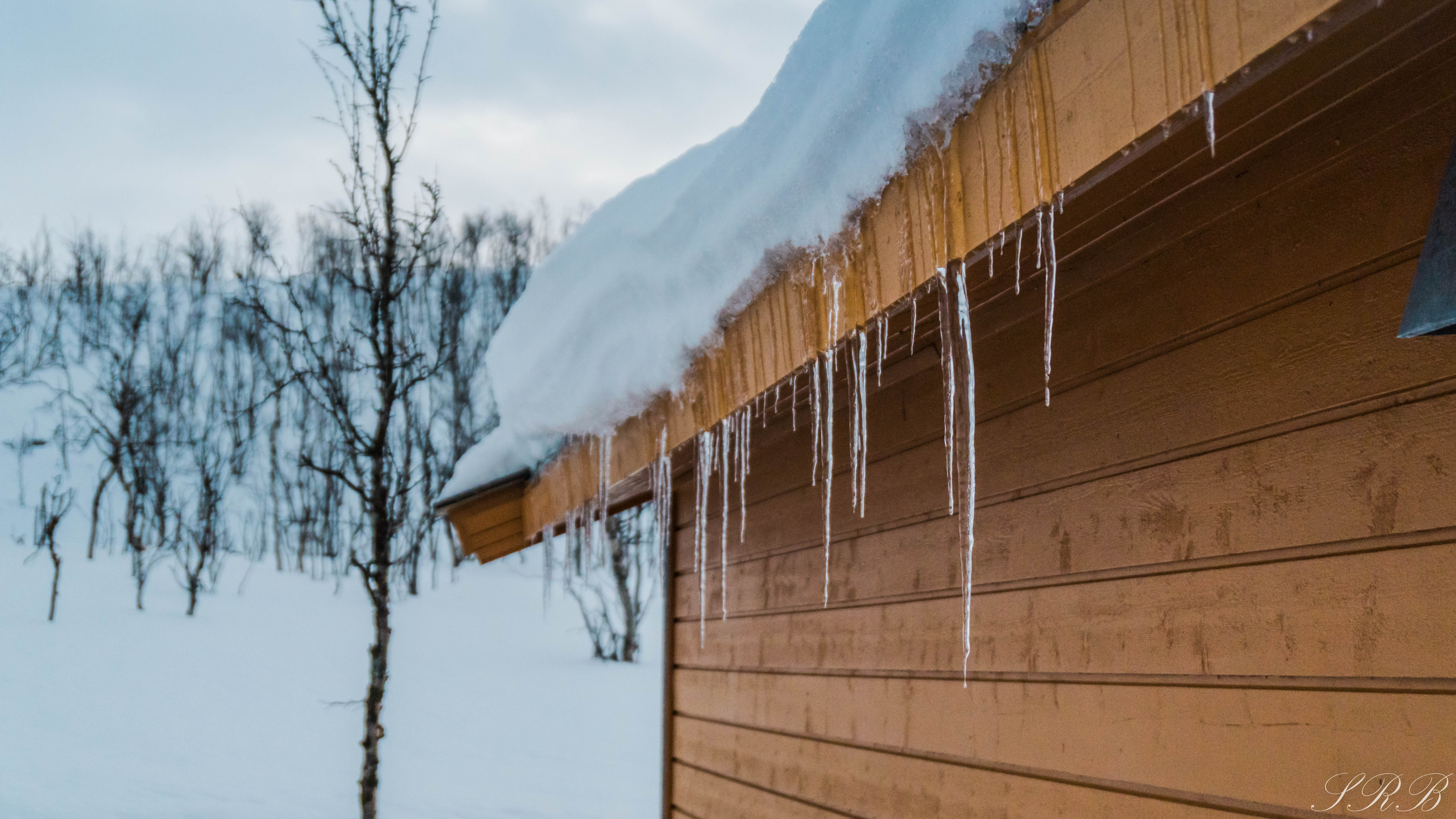 icicles outside the cabin in Norway