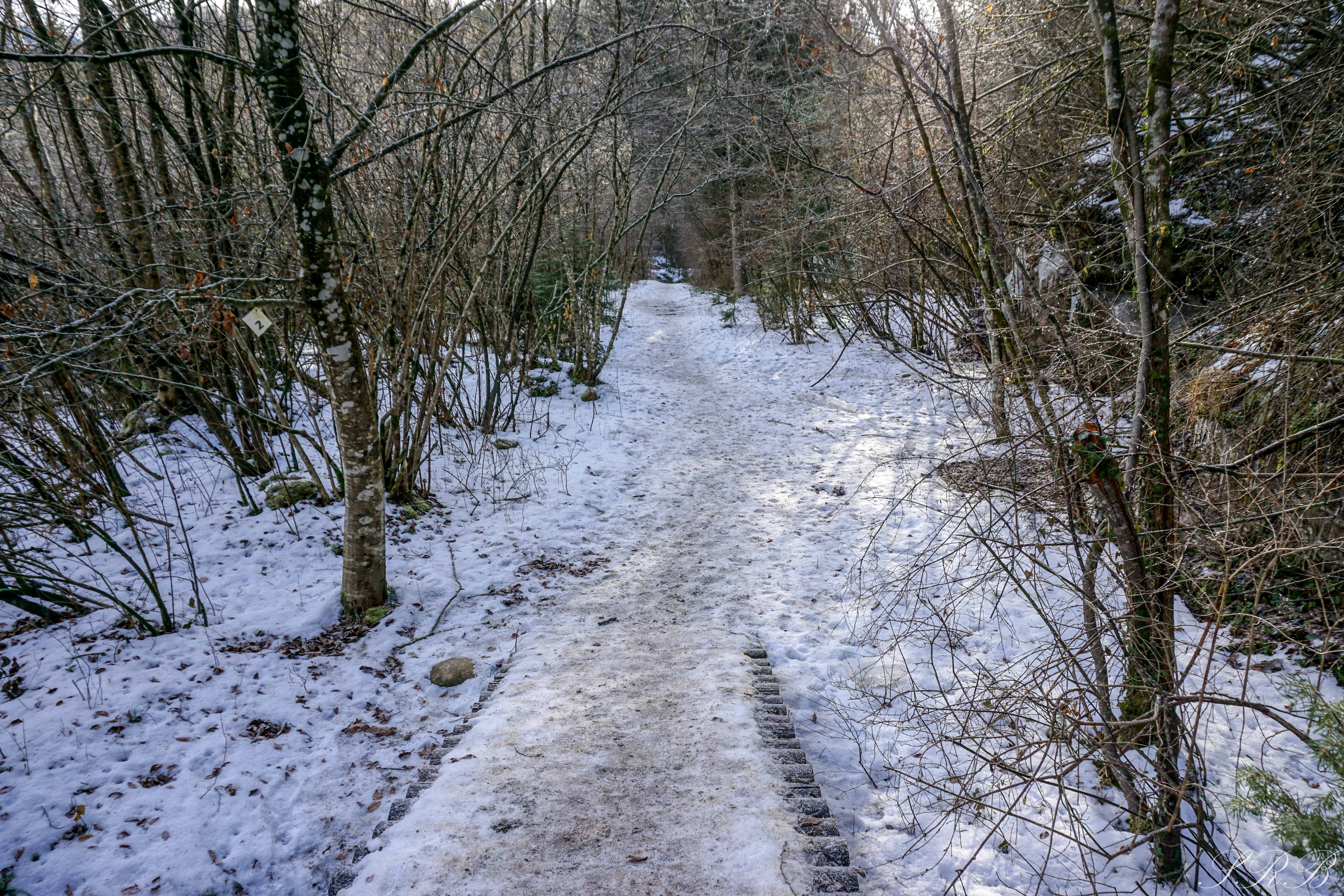 Brent de l'Art, Province of Belluno, Trichiana, Italy, Hiking, Ravines