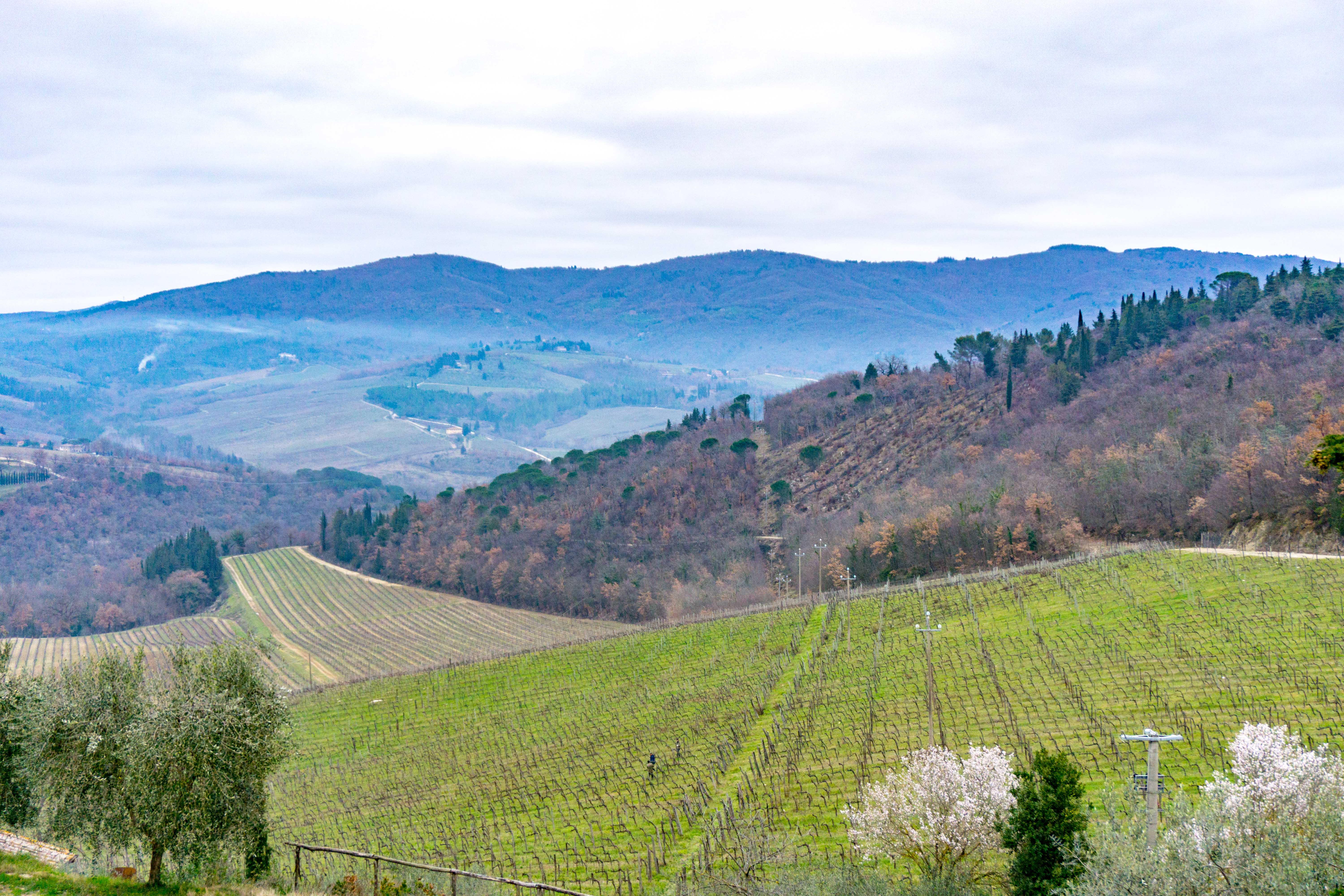 chianti region tuscan hills