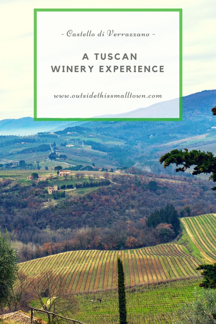 Tuscan Winery Experience in Greve in Chianti