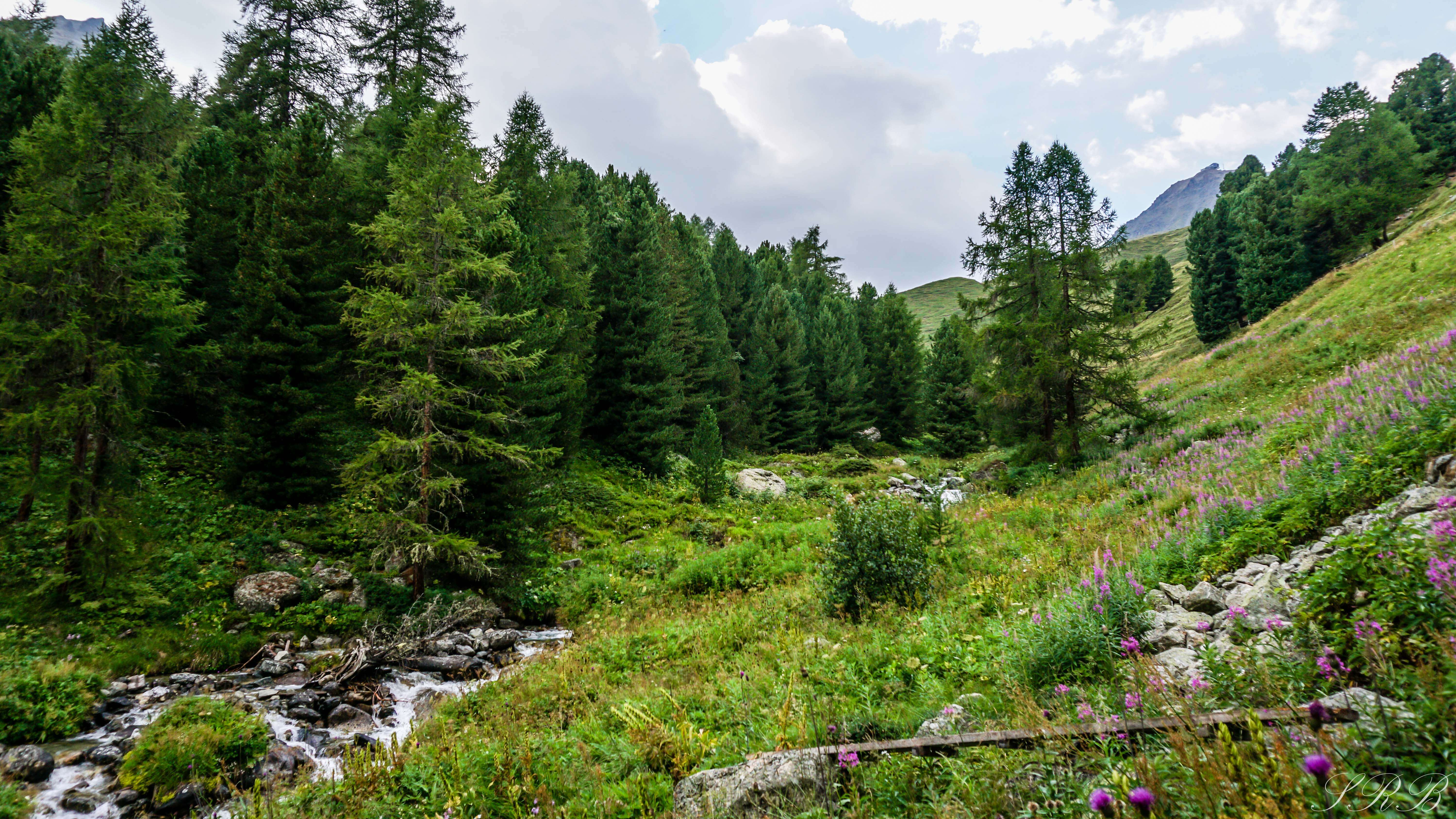 Hiking in Engadin St. Moritz Mountains of Switzerland