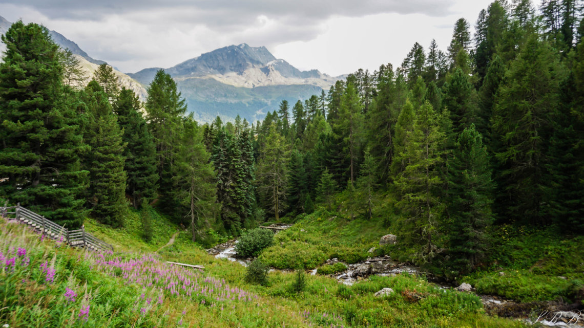 Hiking in Engadin St. Moritz Mountains of Switzerland