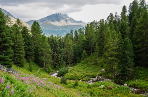 Hiking in Engadin St. Moritz Mountains of Switzerland