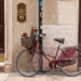 Pet Photography, Verona, Italy