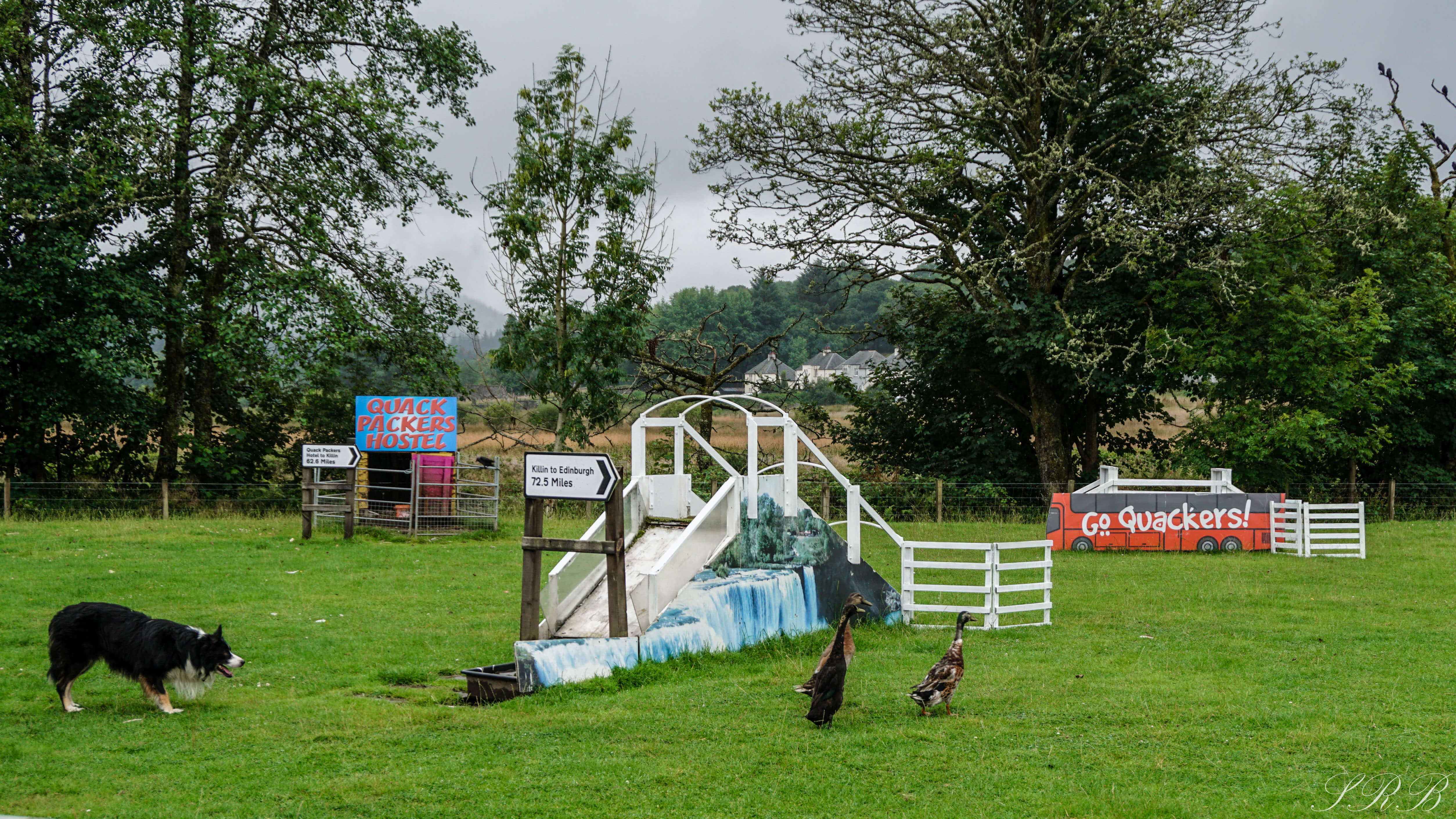 Dog & Duck Demonstration, Edinburgh Scotland itinerary