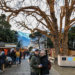 Christmas Markets in Italy, Merano Christmas Market, Meran Christmas Market