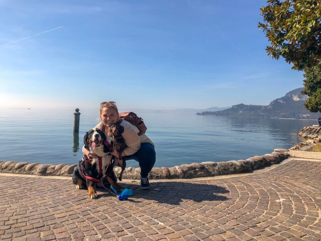Traveling with Dogs, How we afford to travel