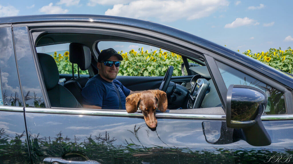 Car rental can be an affordable option to seeing the country, how we afford to travel