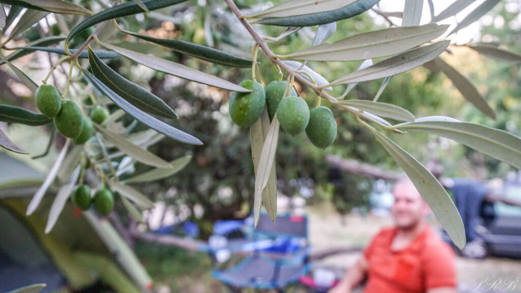 Camping in Croatia, Kamp Rogac