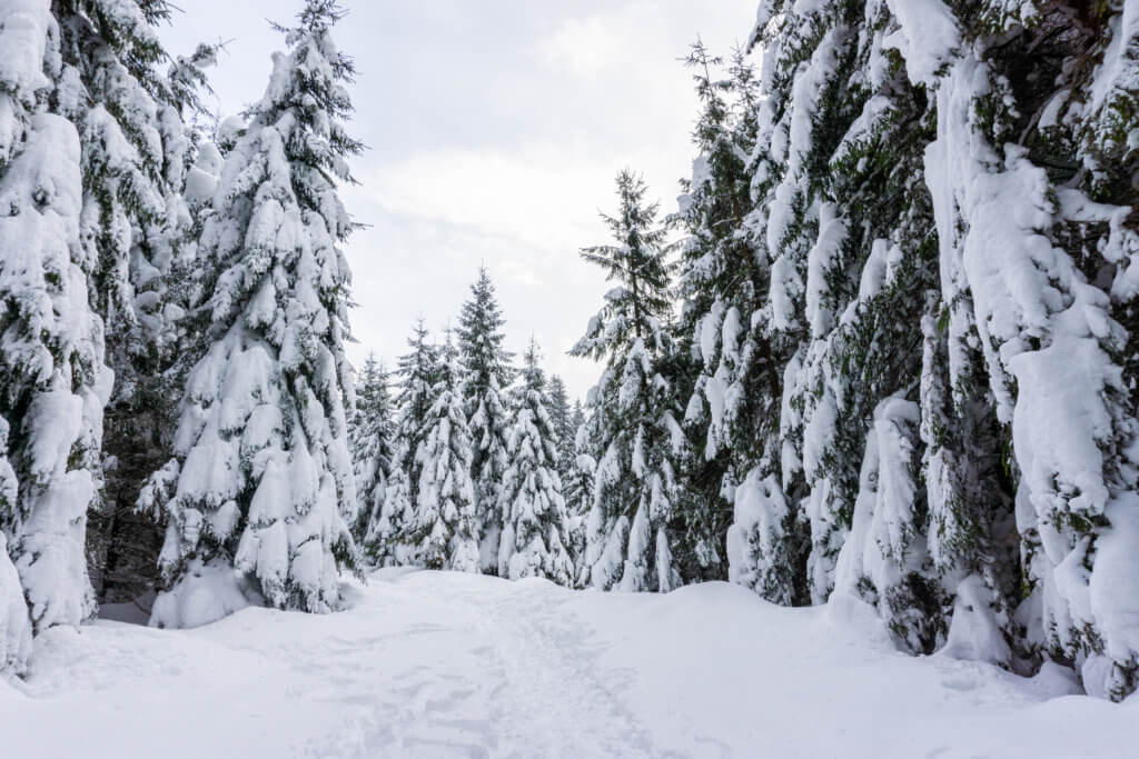 winter in Romania, Cascada Bâlea, Hiking in Romania