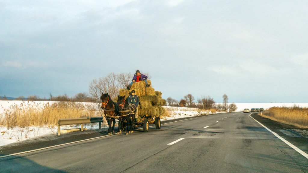 horse and buggy travel in Romania