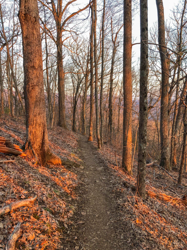 backpacking Appalachian trail