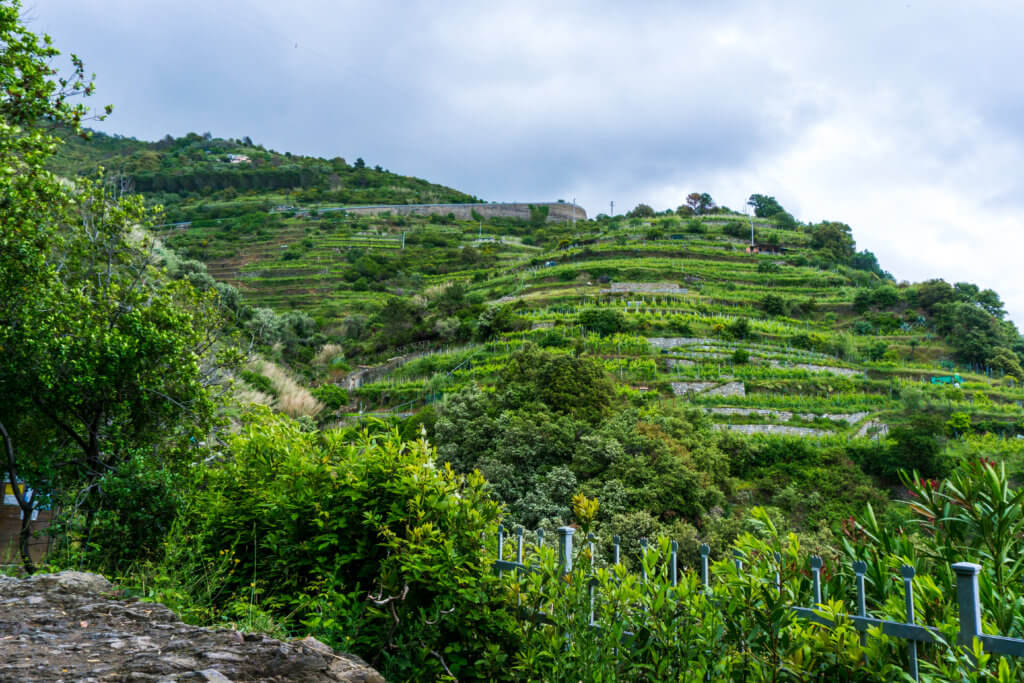 cinque terre in may, monterosso al mare, hiking to vernazza