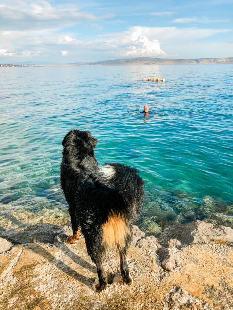 weekend in Croatia, Camp Stine, Starigrad Croatia