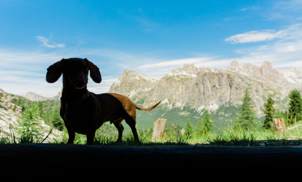 Itinerary for summer hiking in the Dolomites, Cinque Torri