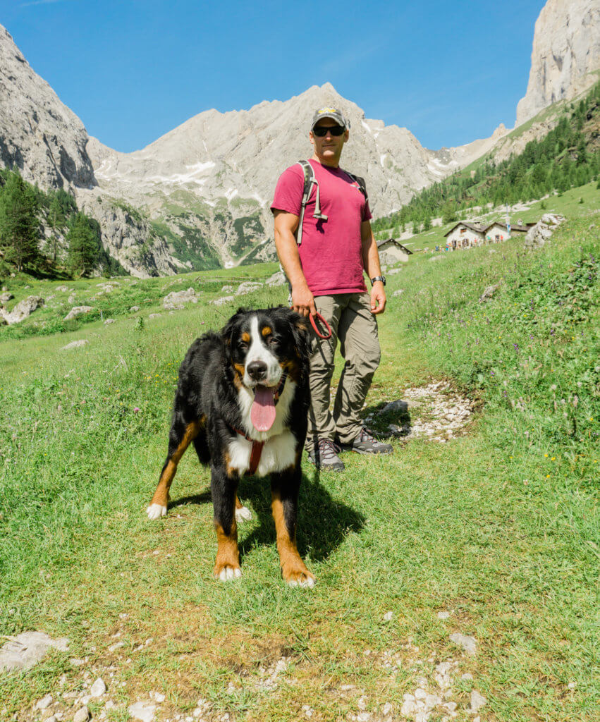 Itinerary for summer hiking, Malga CIapela to Malga Ombretta in the Dolomites