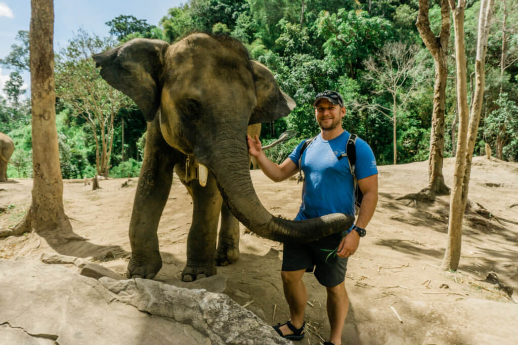elephant sanctuary ears flopping