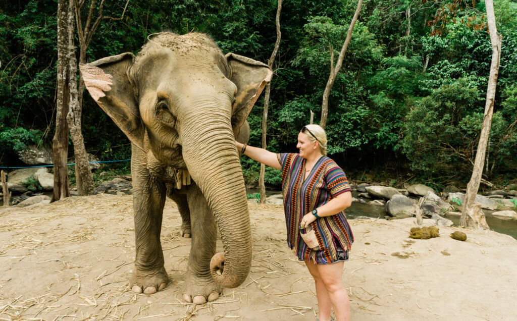 loving on the elephants in chiang mai