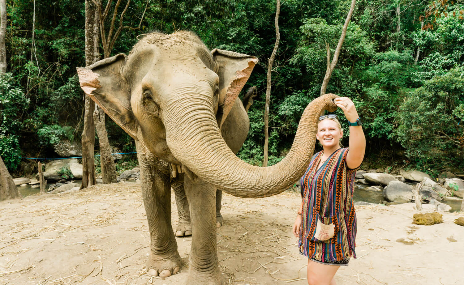 thailand elephant tourism