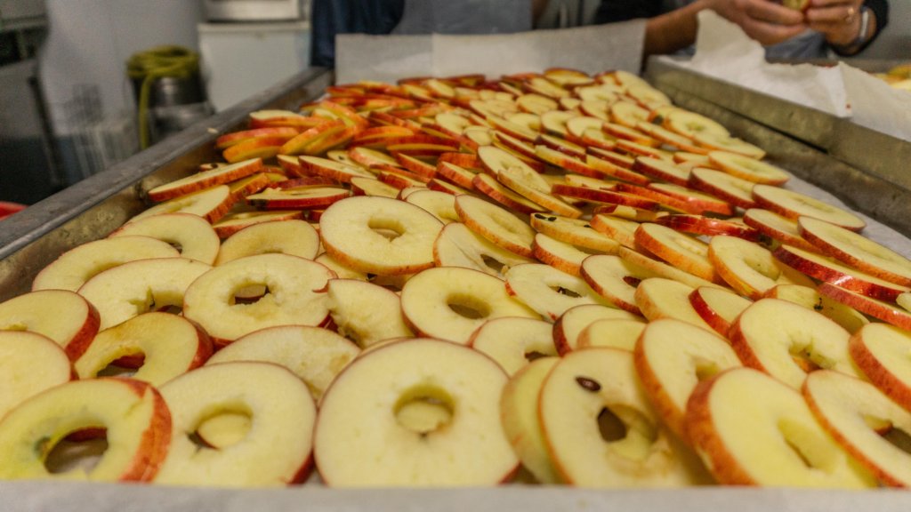 outdoor fall activities, apple harvest to make apple chips