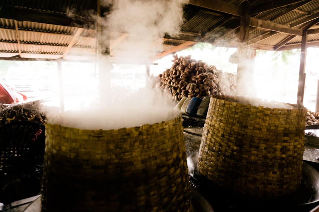 coconut production process