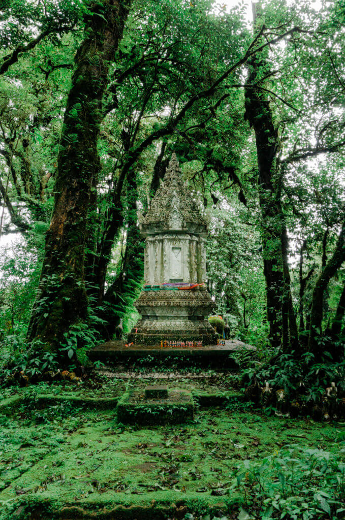 doi inthanon national park trekking rain forest