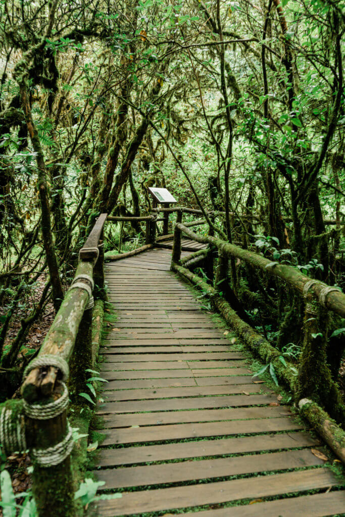 Ang-Kha Nature Trail trekking in Thailand