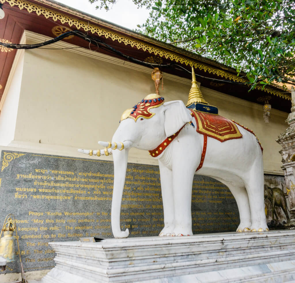 chiang mai white elephant thailand