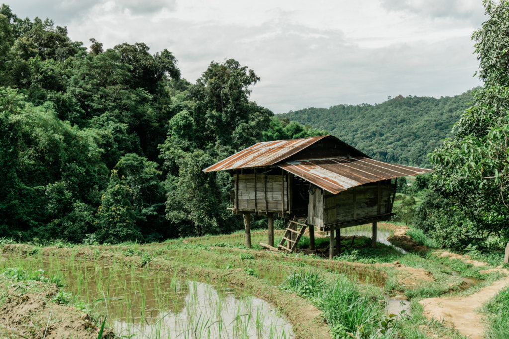 Rice farmers break house along the Pha Dok Siew Nature Trail in Thailand