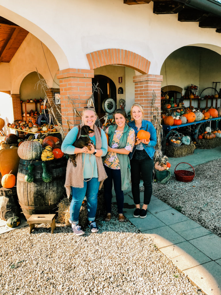 favorite outdoor fall activities, pumpkin patch in italy with friends