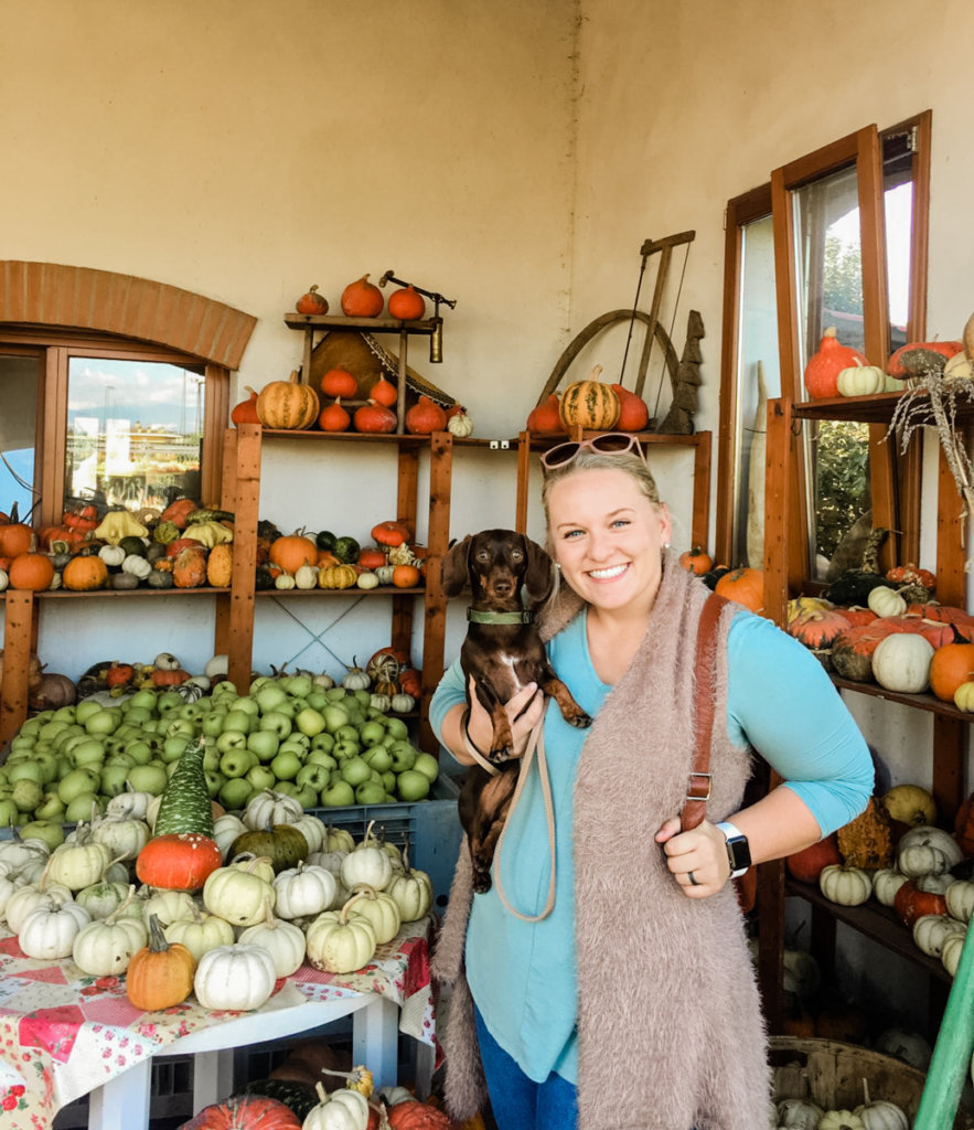 outdoor fall activities, pumpkin patch is fun for the whole family