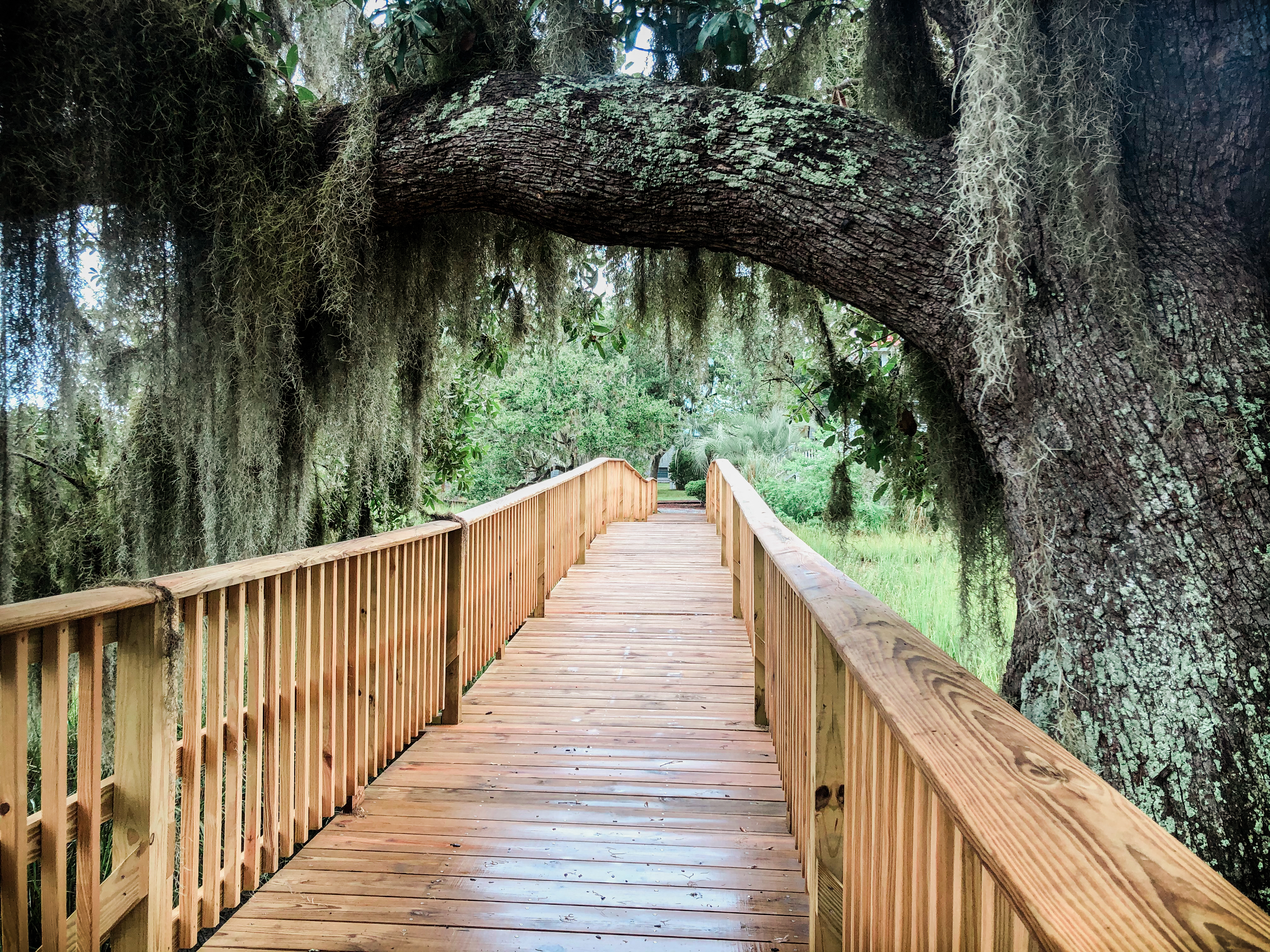 walking in beaufort, south carolina