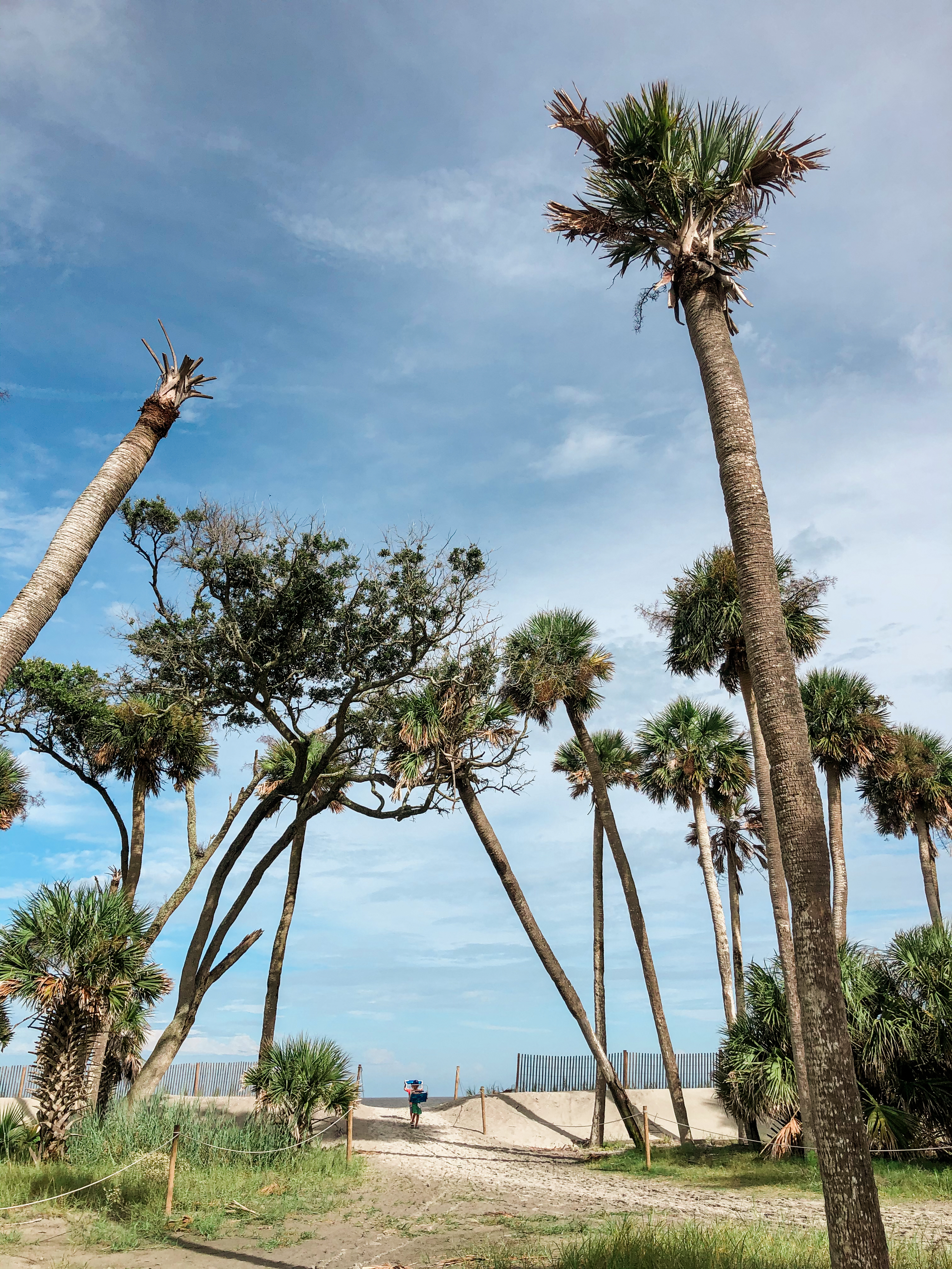 hunting island state park, hidden beaches, things to do in beaufort, south carolina