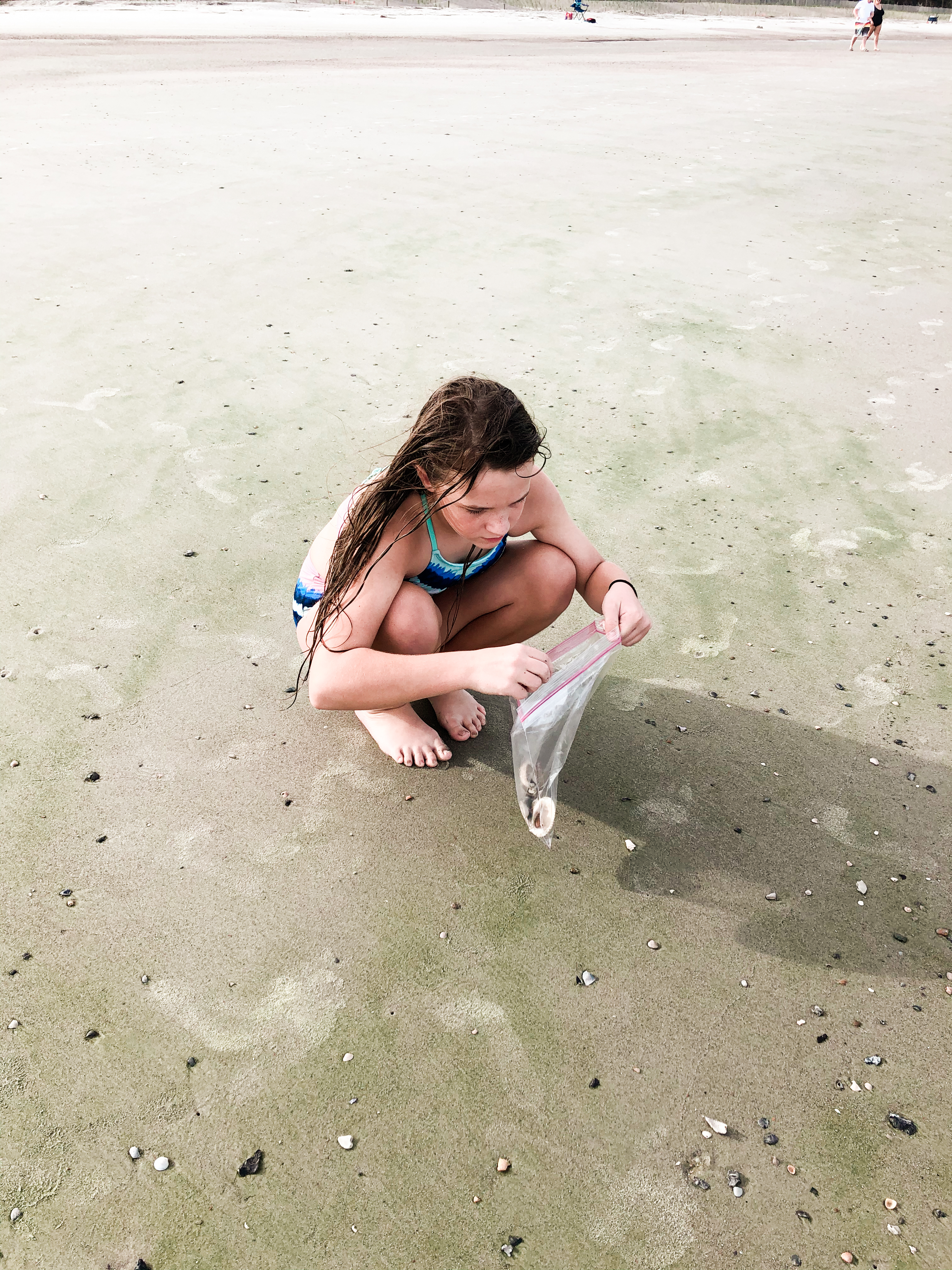 shark teeth search, things to do in beaufort, south carolina