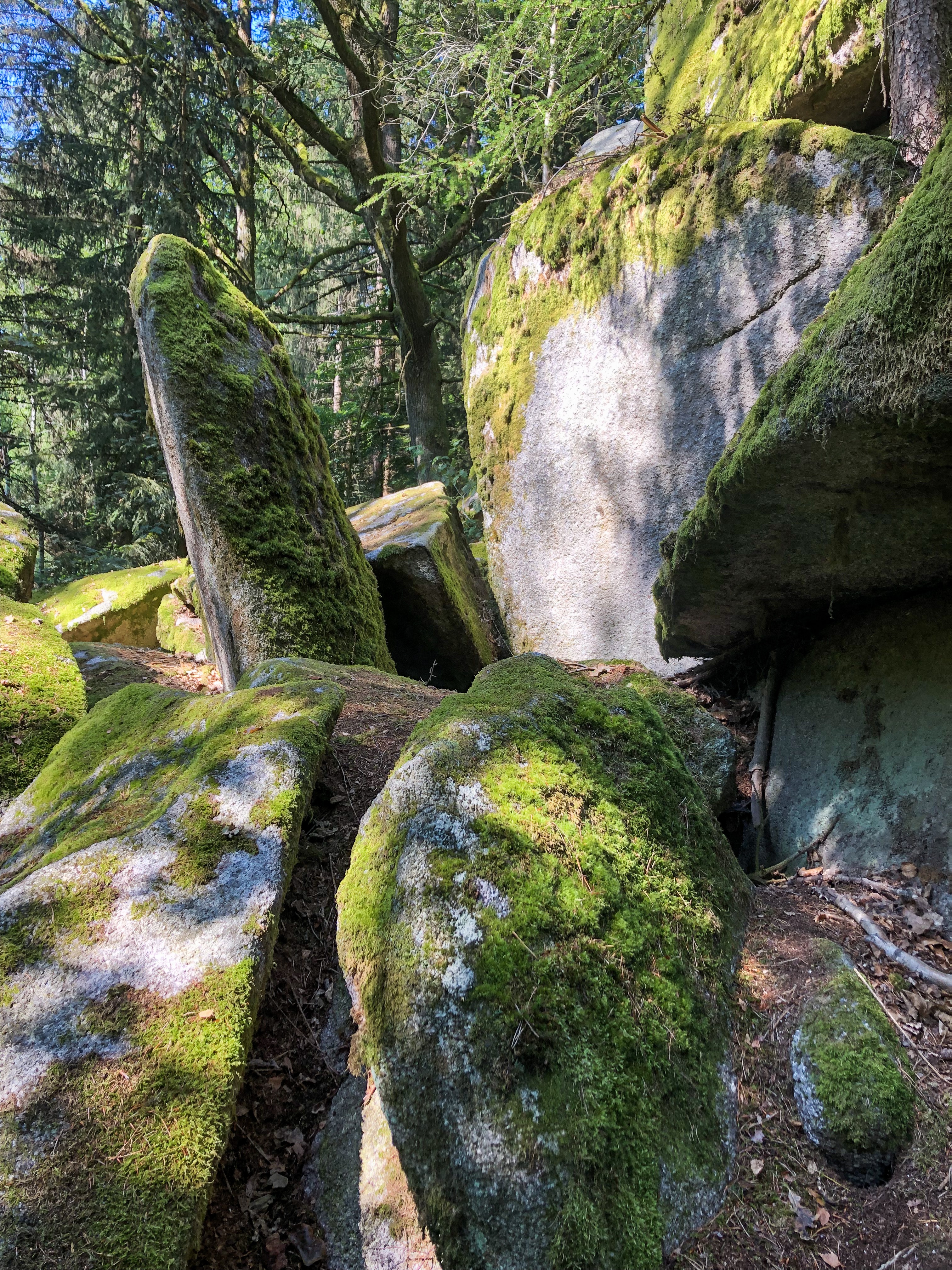 Burgruine Leuchtenberg, hiking in germany