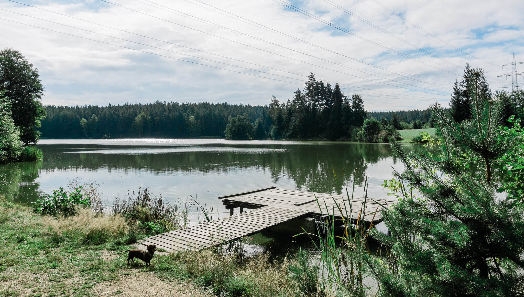 waldnaabtal hiking, hiking in germany, grafenwoehr day trips