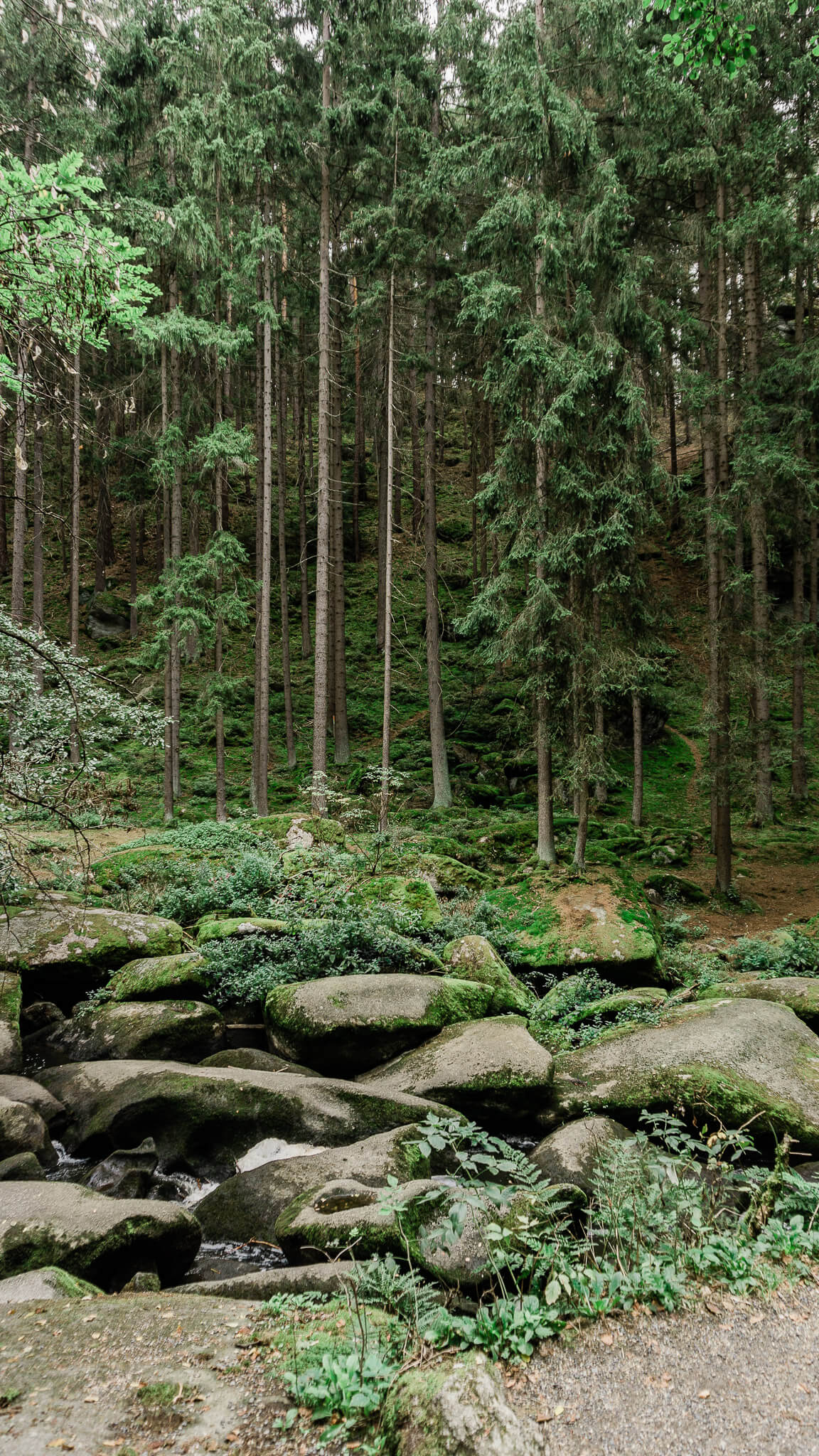 hiking in bavaria, waldnaabtal